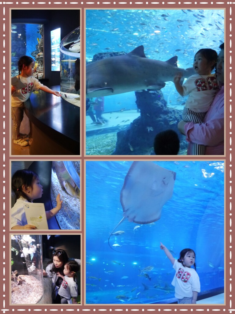 PicsArt_1431063971578.jpg