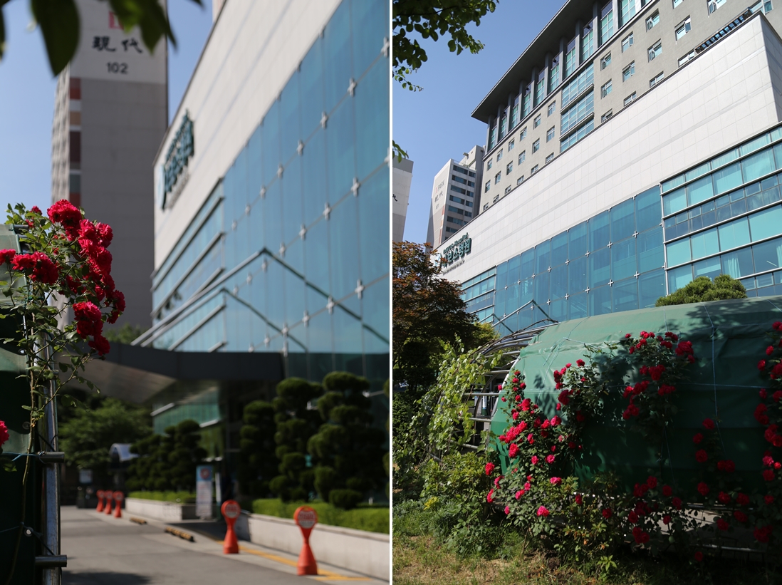 20150604_병원 꽃2.jpg