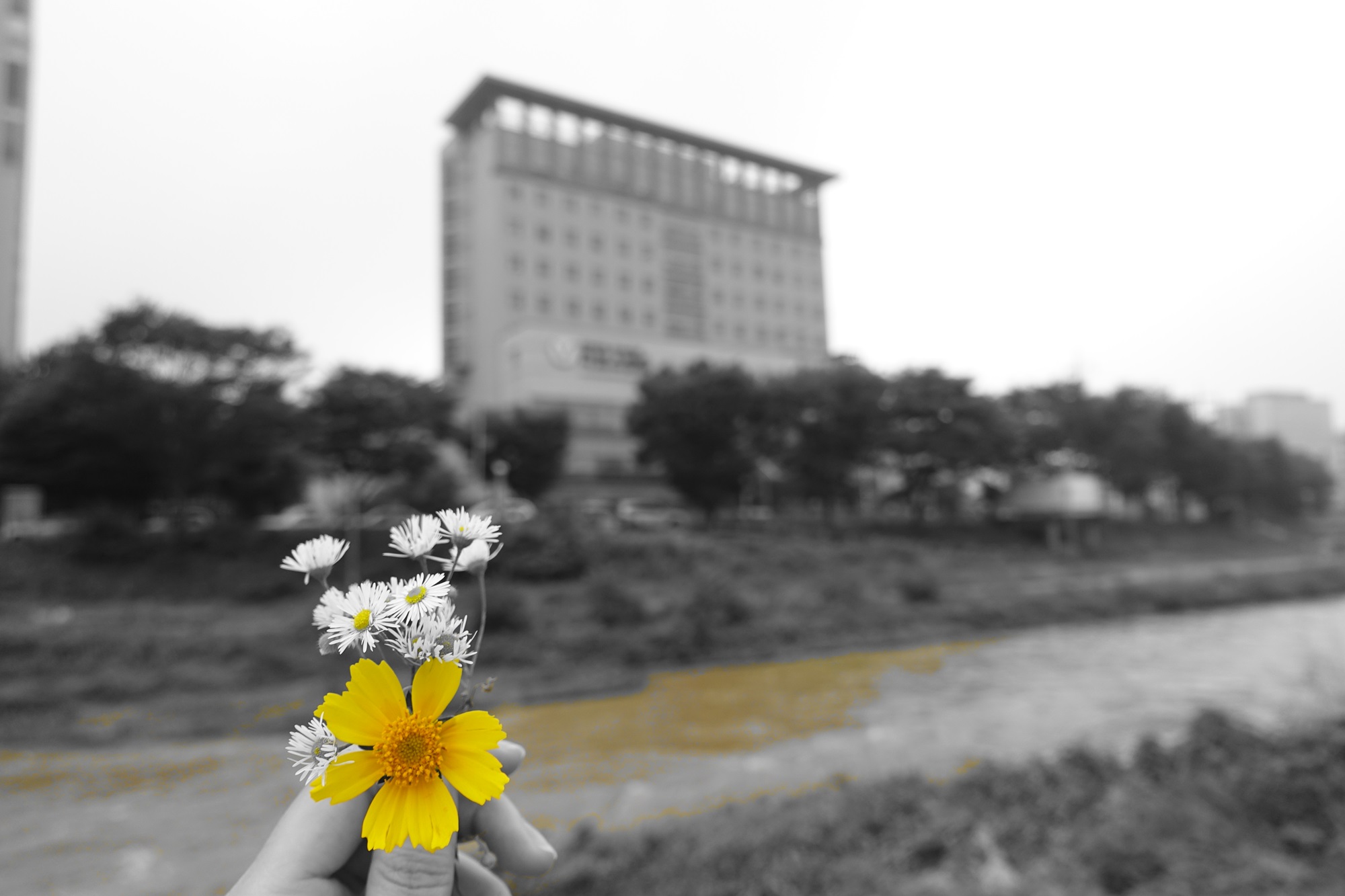 DSC03554.JPG