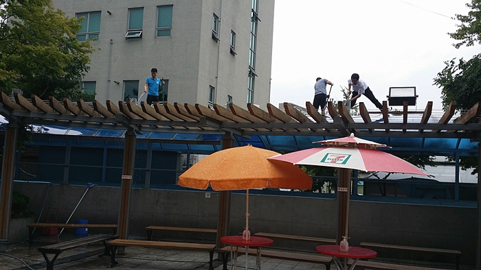 20150725_112344.jpg