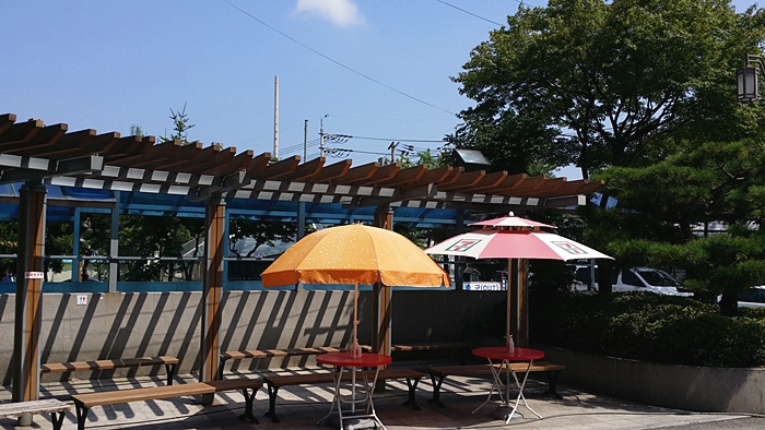 20150806_104655.jpg