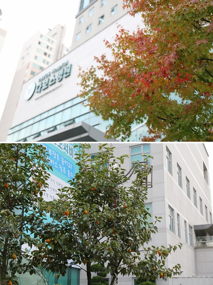 20151007_가을전경1.jpg