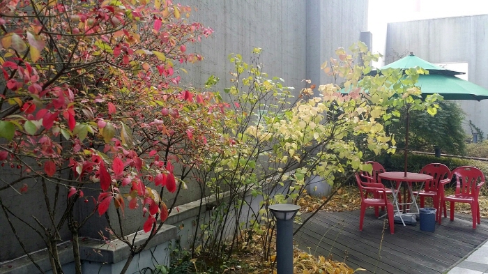크기변환_KakaoTalk_20151020_143555982.jpg