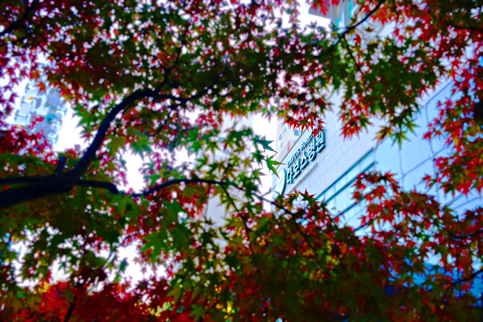 DSC09657_1600.JPG