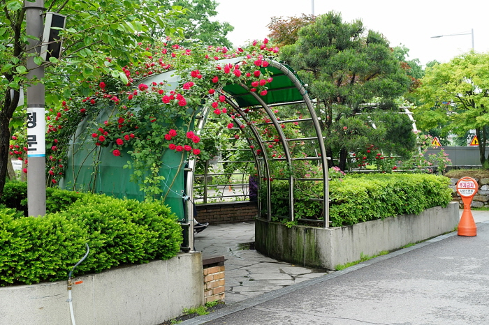 DSC00018.JPG