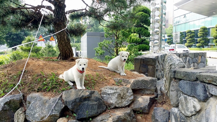 KakaoTalk_20160602_103656827.jpg