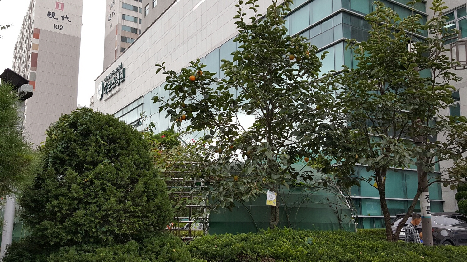 크기변환_KakaoTalk_20161014_115204077.jpg