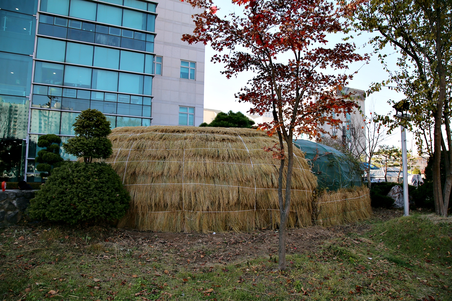 IMG_3921.JPG