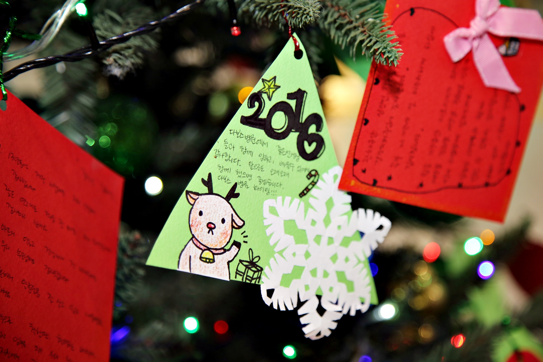 IMG_5766.JPG