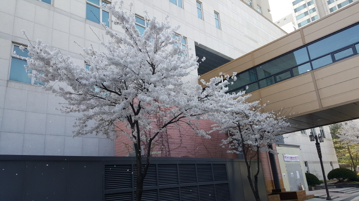 크기변환_KakaoTalk_20170415_090136029.jpg