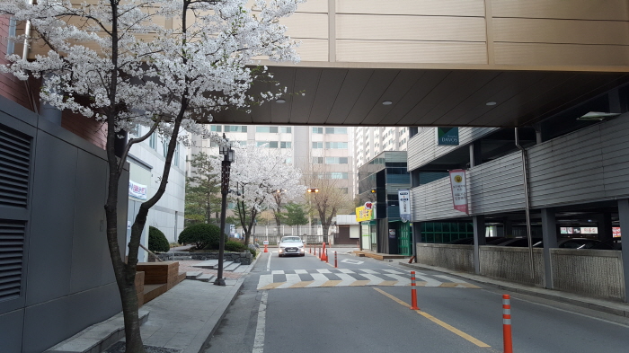 크기변환_KakaoTalk_20170415_090052769.jpg