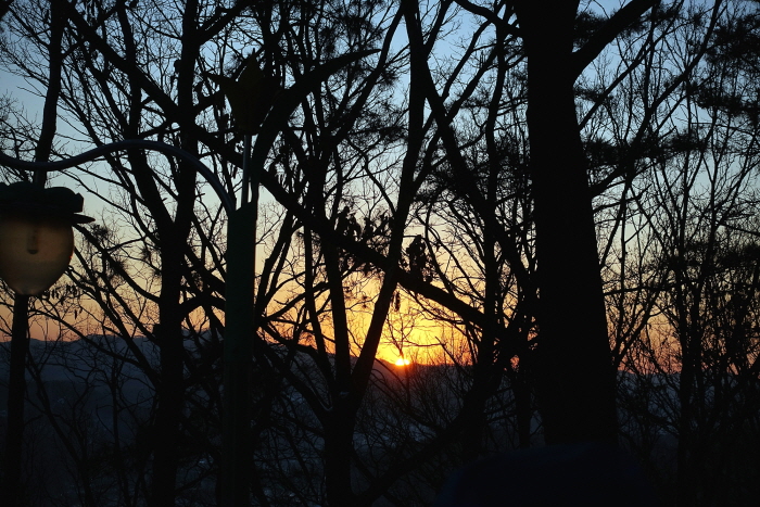 DSC00785.JPG