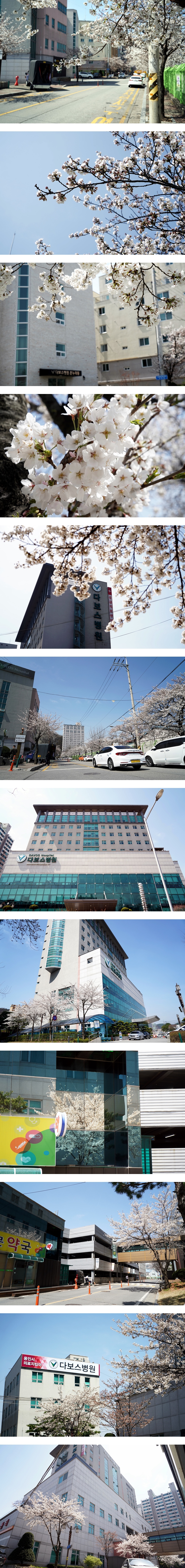 DSC03911-vert1.jpg